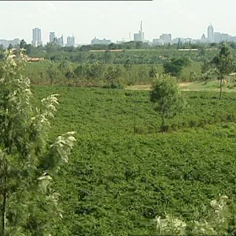Coffee Cravers Roasterie Kenyan Kabingara